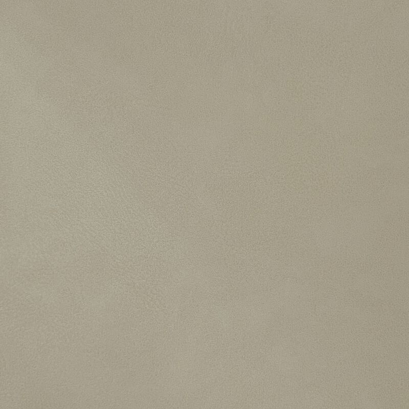 Meridian Furniture Gallo Beige Vegan Leather Twin Bed