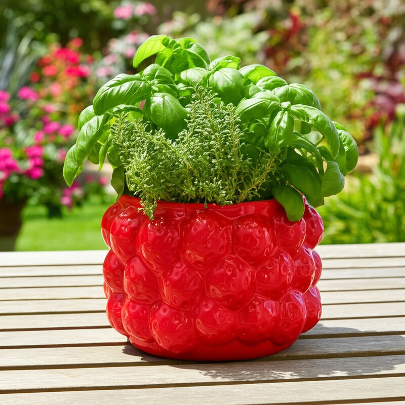 Strawberry Flower Planter