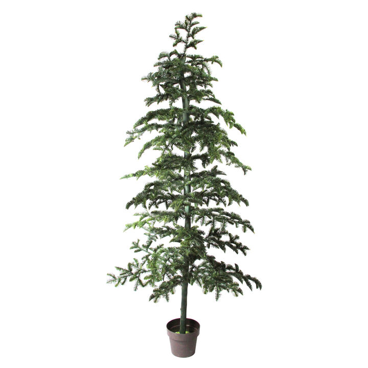6.5' Potted Green Spruce Artificial Topiary Tree – Unlit
