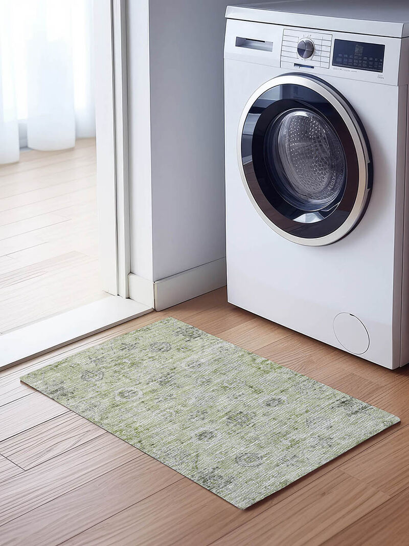 Solace SL10 Aloe 20" x 30" Rug