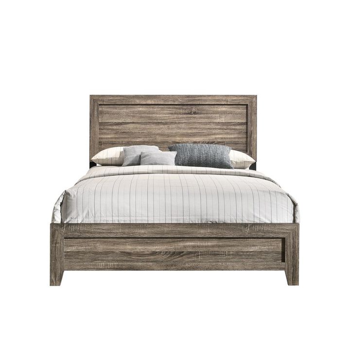 Louis Full Panel Biab  With Usb