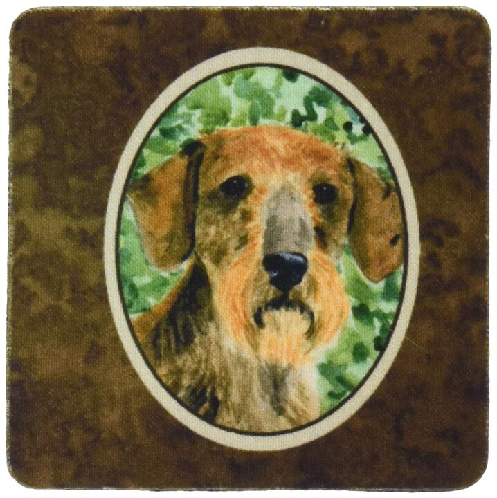 Caroline's Treasures SS8806FC Dachshund Foam Coasters (Set of 4), 3.5 H x 3.5 W, Multicolor