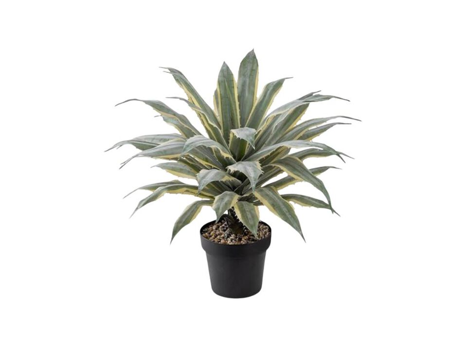 32 Inch Tall Large Faux Agave Plant Two Tone Sawtooth Edged Leaves Planted In