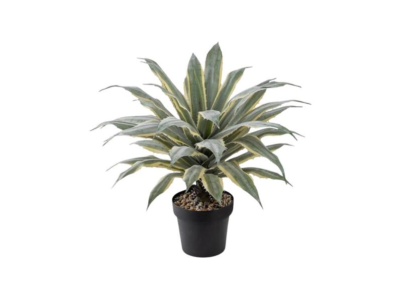 32 Inch Tall Large Faux Agave Plant Two Tone Sawtooth Edged Leaves Planted In image number 0
