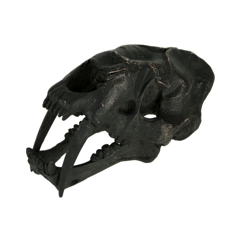 Black Saber Toothed Cat Skull Statue Small image number 0