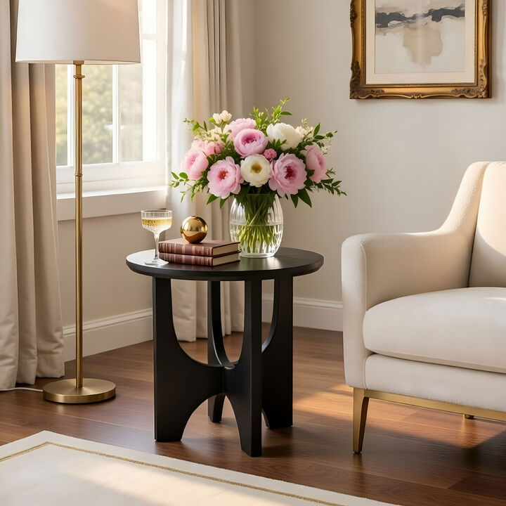 Sara Round Side End Table, 20 Inch Solid Mango Wood Top in Matte Black with Curved legs