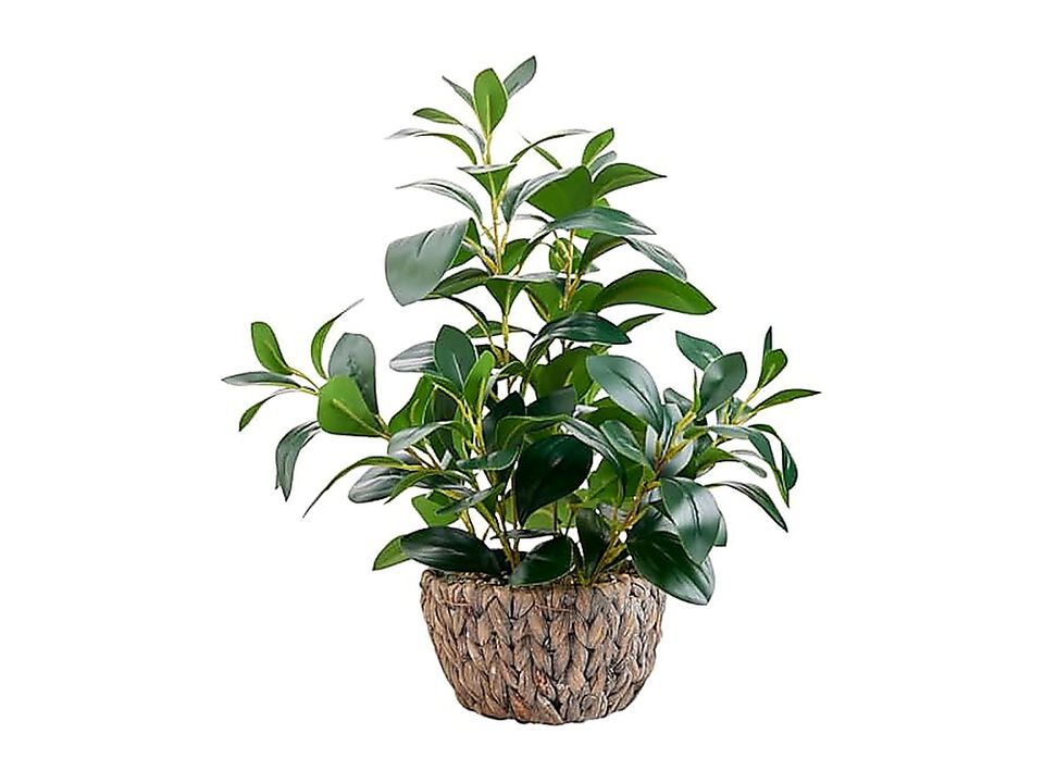 19 Inch Artificial Ficus Plant Indoor Faux Greenery Potted In Rattan Woven Decor