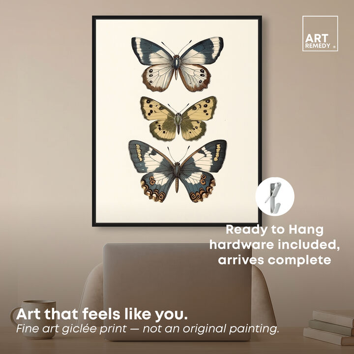 Triad of Wings II Animals Canvas Print by Art Remedy