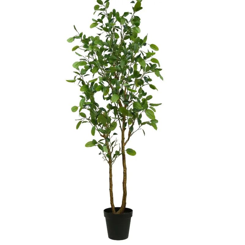 7' Citrus Lemon Tree image number 0