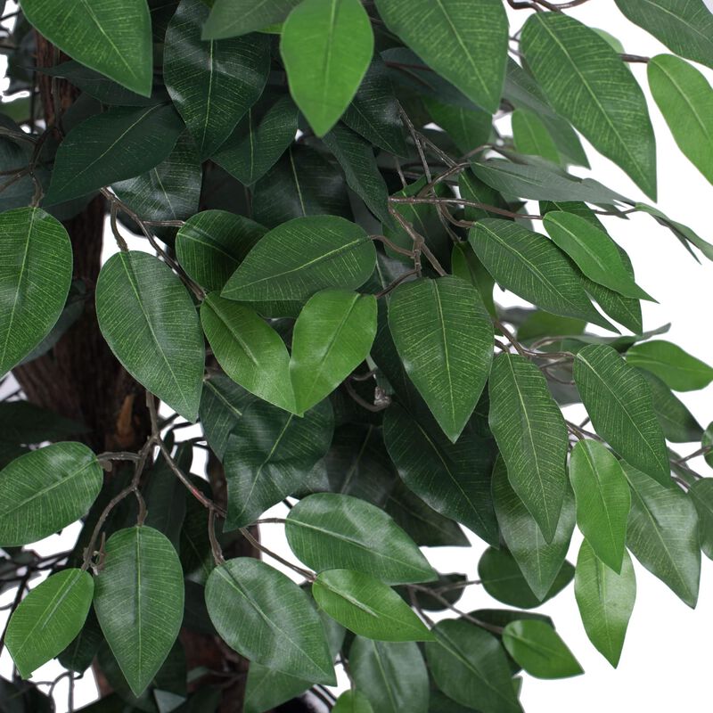 Vickerman Ficus Extra Full - image number 4