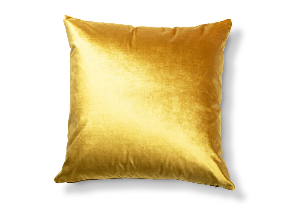 Daring Golden Accent Pillow