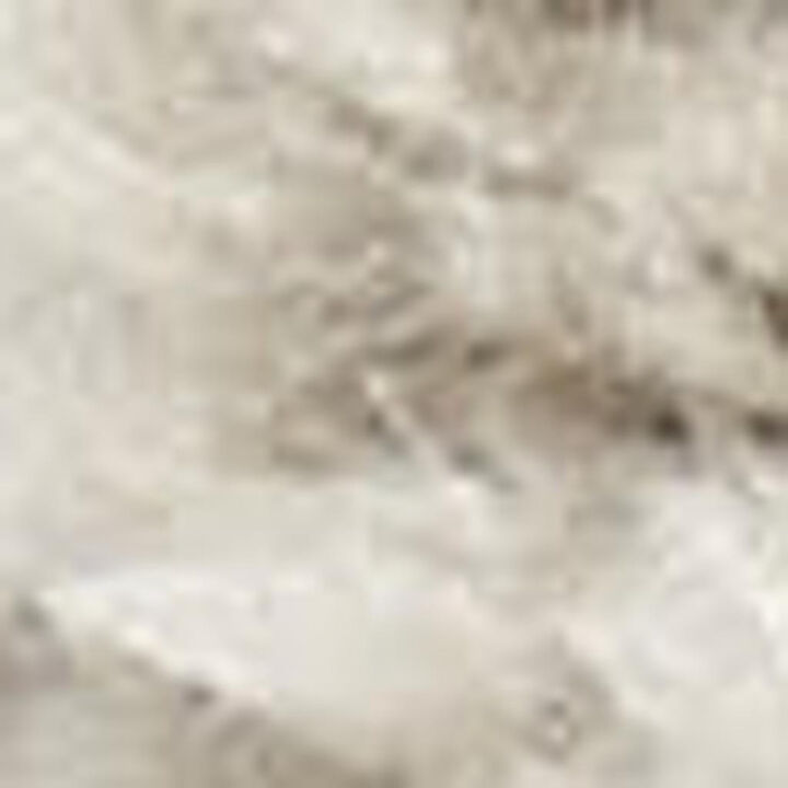 HomeRoots Abstract Area Rug