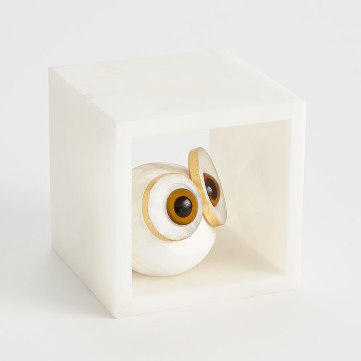 Alabaster Big Eyed Owl in Cube