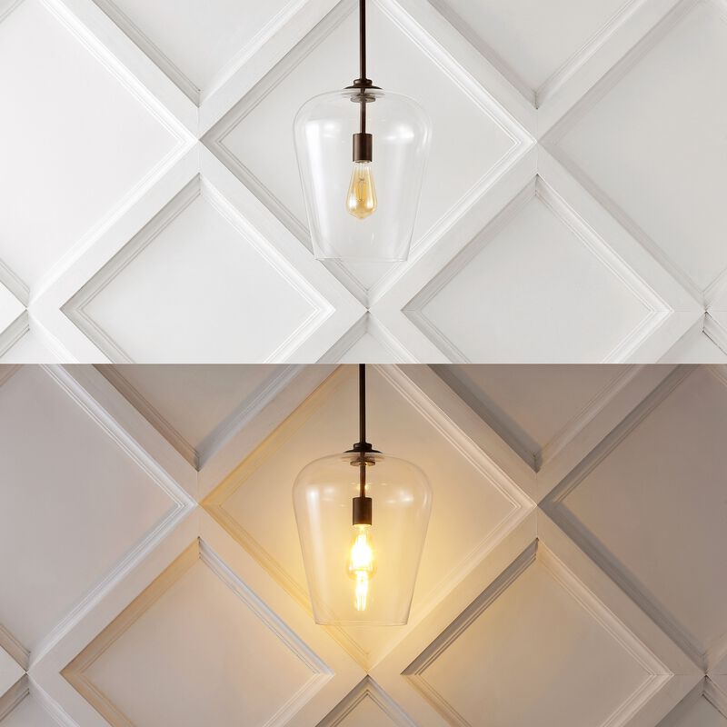 Hayes 1-Light Industrial Farmhouse Iron/Glass LED Pendant