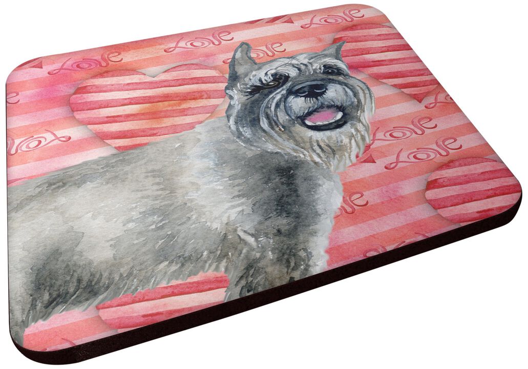 Caroline's Treasures Schnauzer Love Decorative coasters, Multicolor