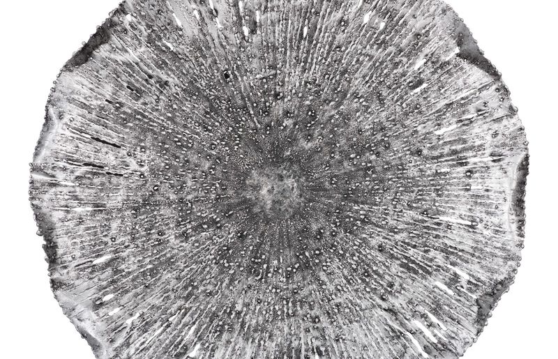 Lotus Medium Wall Art