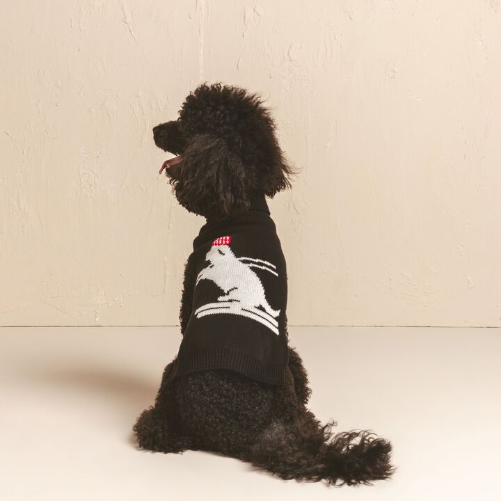Shaya Pets Skiing Dog Pet Sweater