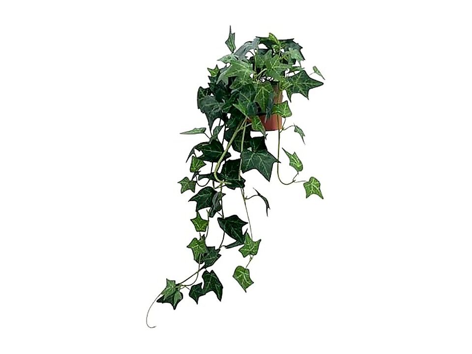 31.5 Inch Artificial English Ivy Plant In Pot Fake Silk Greenery Decor Tabletop