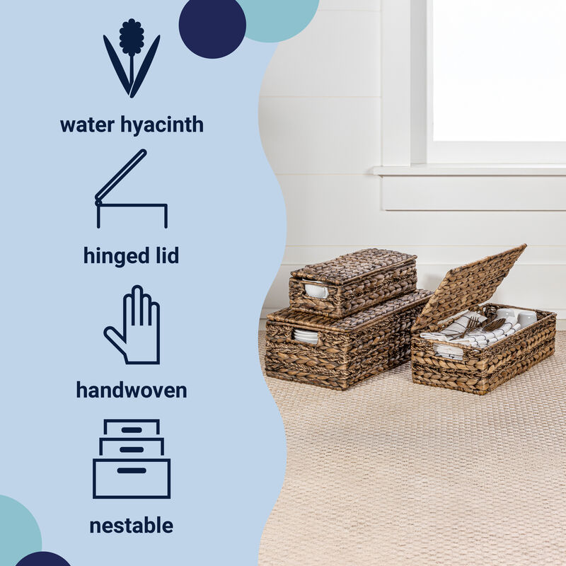 Sandrine Classic Farmhouse Handwoven Hyacinth Storage Baskets with Handles and Lids