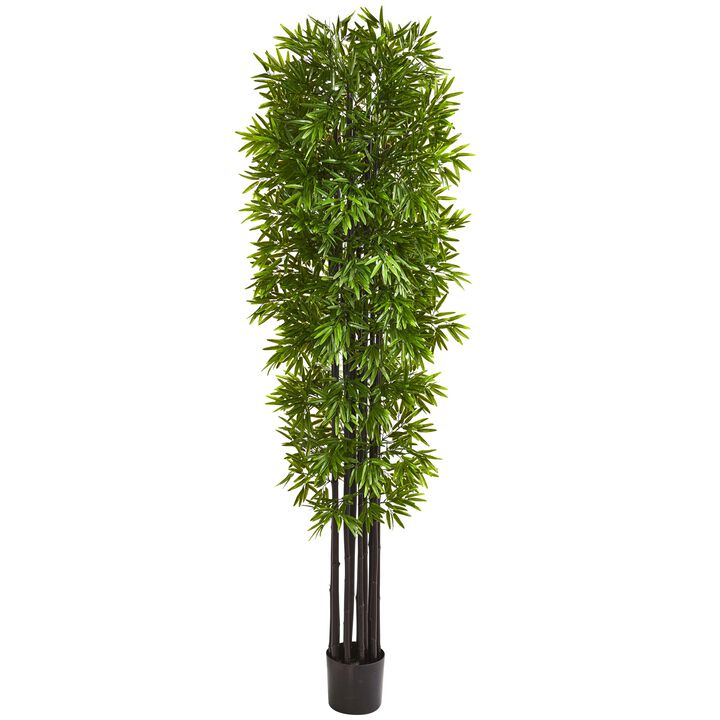HomPlanti 7 Feet Bamboo Artificial Tree with Black Trunks UV Resistant (Indoor/Outdoor)