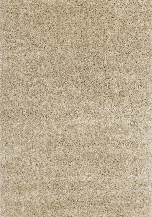 HomeRoots Area Rug