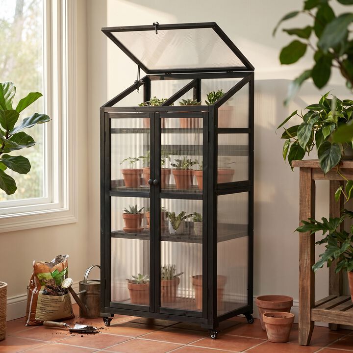Whisen 62" Garden sheds, Greenhouse, Wood & Polycarbonate with 4 Wheels & 3-Tier Shelves, Indoor Outdoor Garden Use