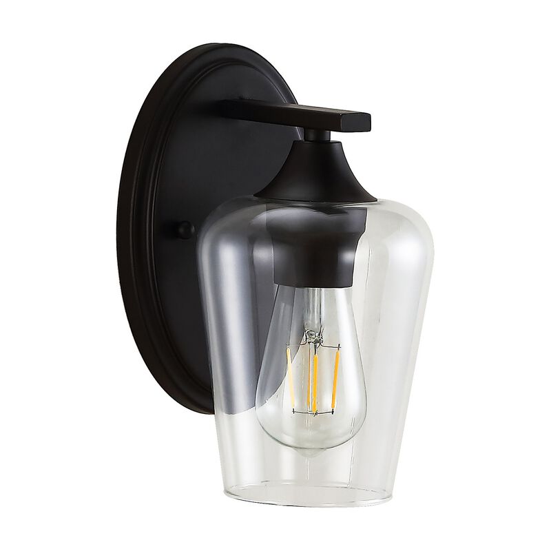 Jayne Iron/Glass Cottage Rustic LED Vanity Light