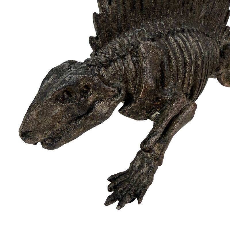 Dimetrodon Dinosaur Statue Fossil Style Brown Polyresin Sculpture 18 Inch image number 3