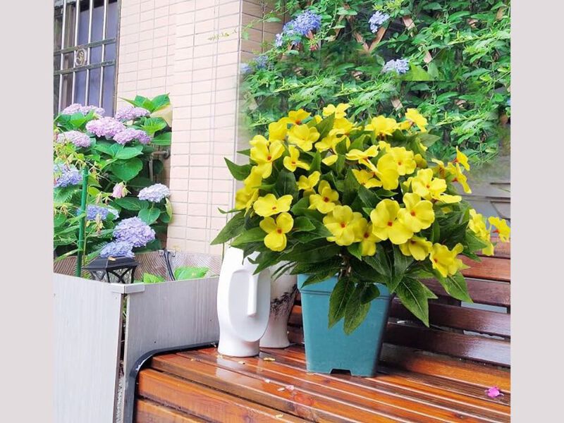 3 Piece Yellow Artificial Hanging Flowers UV Resistant Outdoor Garden Porch image number 1