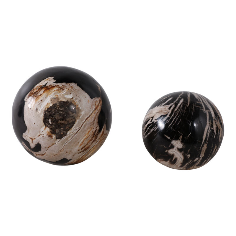 S/2 5/6" Petrified Wood Orbs image number 4