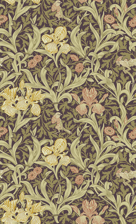 Iris Plum Wild Gardens Wallpaper
