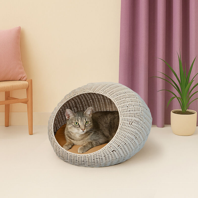 Fiora 19.5" x 18" Modern Circular Faux Wicker Pet Bed with Machine-Washable Cushion