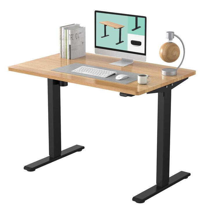 FLEXISPOT Electric Height Adjustable Standing Desk Heavy Duty Steel Stand Up Desk Frame w/Automatic Smart Keypad (EC1 Classic Bl