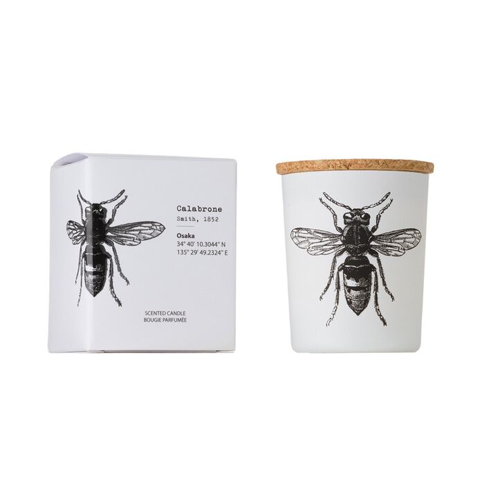 Candle in Jar INSECT 75gr CALABRONE 2.36 diam. x 2.95 in