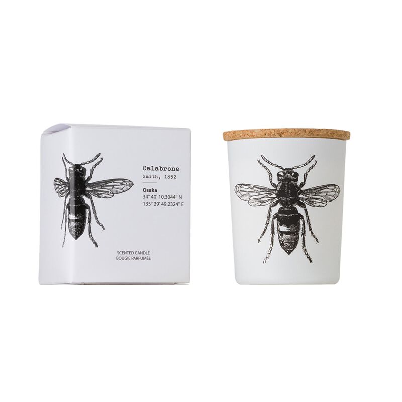 Candle in Jar INSECT 75gr CALABRONE 2.36 diam. x 2.95 in image number 0