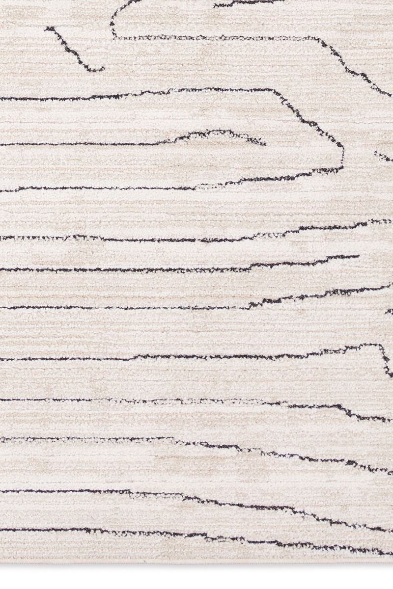 Eva Newlyn Tan 8'6" x 11'6" Rug image number 4