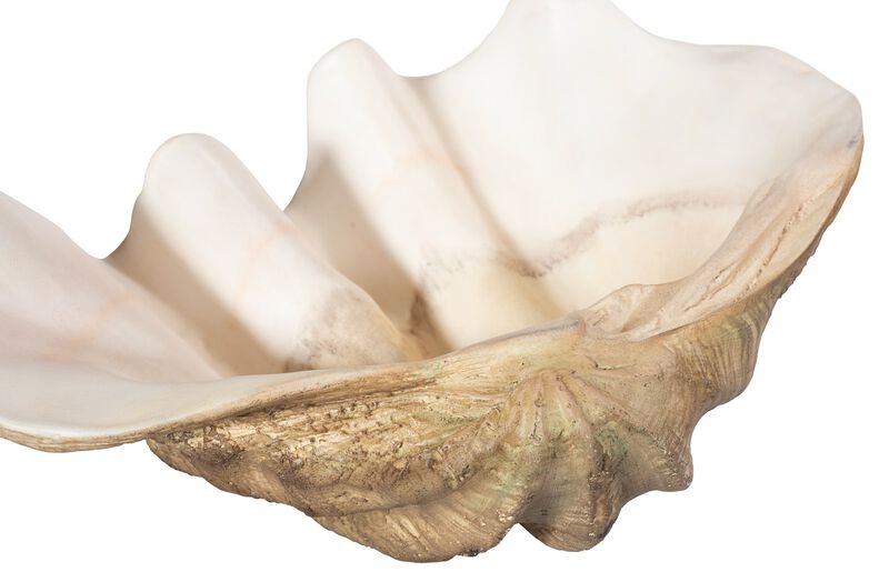 Cast Clam Large Shell Bowl