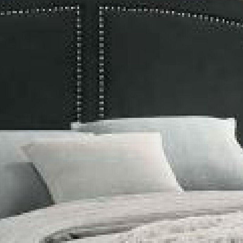 Lily Platform King Upholstered Bed, Padded Headboard, Black, Gold-Benzara