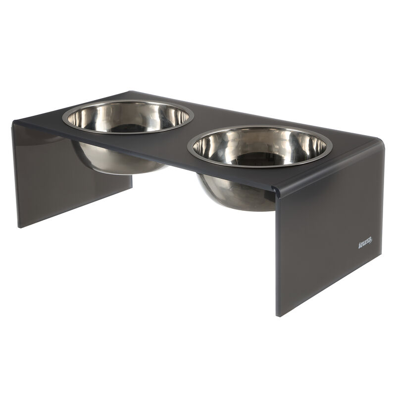 Keaton Modern Acrylic Rectangular Elevated Pet Feeder with Stainless Steel Bowls
