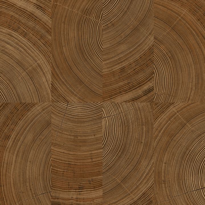 Karuna Photographic Motive Brown Wallpaper KRA69101