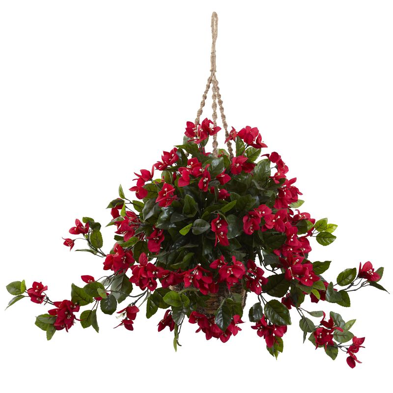 Hivvago Bougainvillea Hanging Basket UV Resistant (Indoor/Outdoor)