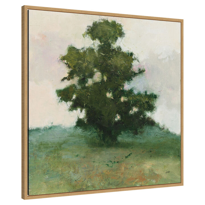 Heritage Oak I by Julia Purinton Framed Canvas Wall Art