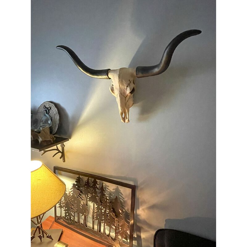 Huge Wall Hanging Longhorn Cow Skull 27in Wide Resin Long Horn Steer Wall Decor image number 6