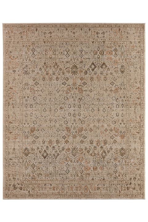 Patterned Silence Noelle Sandshell 8'6" x 12' Rug