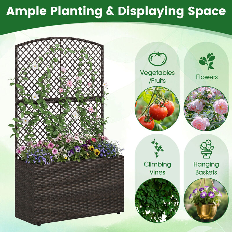 2 Pack Raised Planter Boxes with Trellis for Garden Backyard Patio and Balcony image number 3