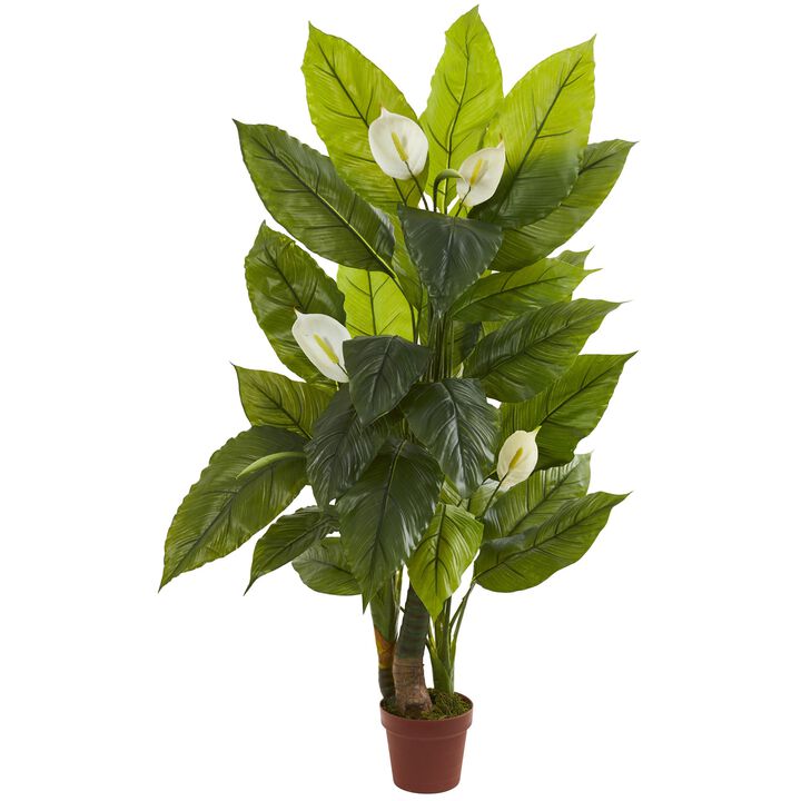 HomPlanti 4.5" Spathyfillum Plant (Real Touch)