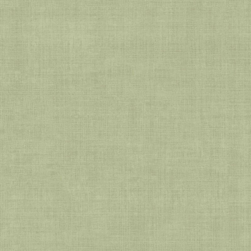 Vava Varlov Light Green Wallpaper image number 0