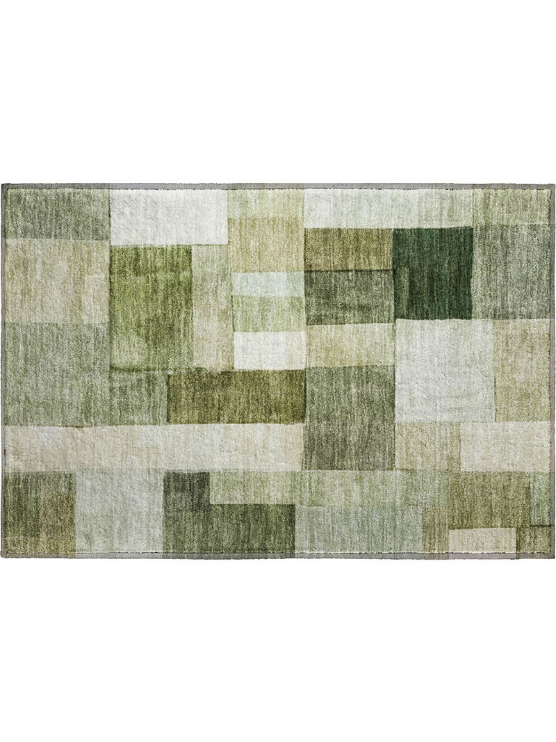 Neo NO15 Sage 20" x 30" Rug