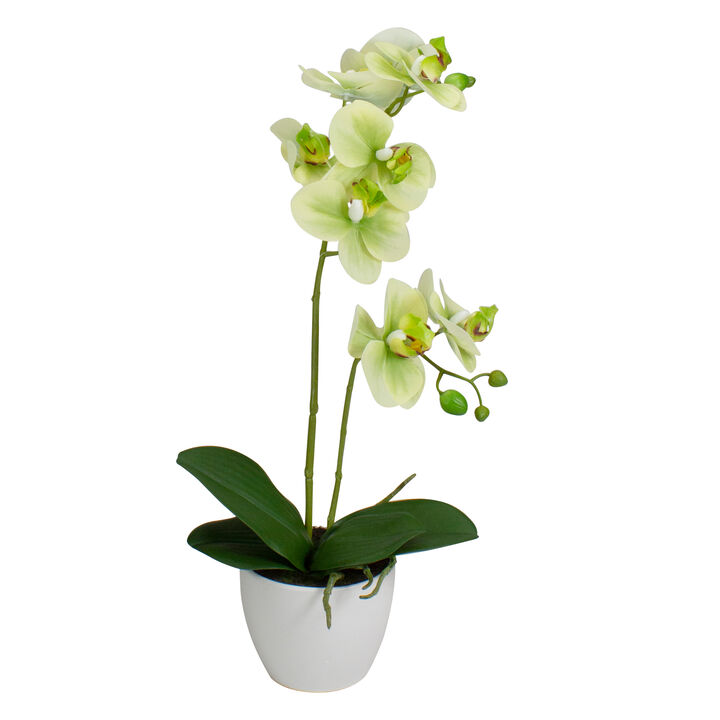 14" Ivory  Green  and White Artificial Orchid Potted Plant Tabletop Decor