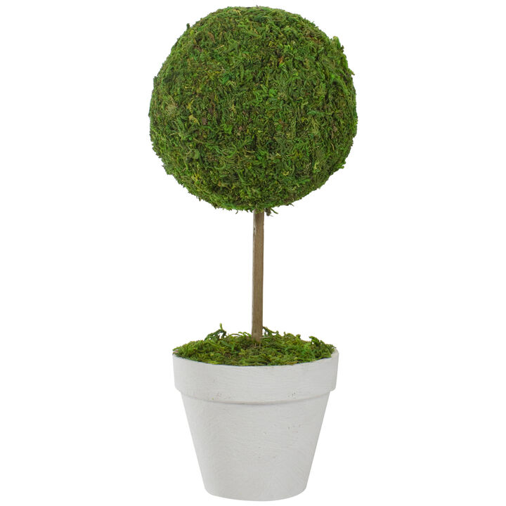 16" Green Reindeer Moss Ball Potted Artificial Spring Topiary Tree